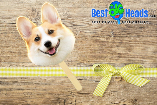 Put Your Pet’s Face Front and Center with Best BIG Heads™
