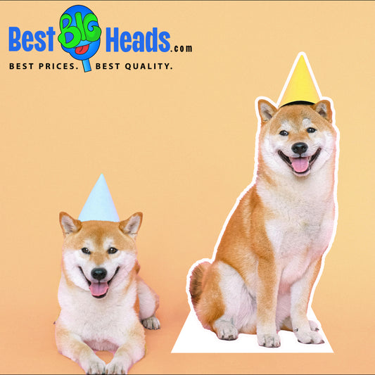  A photo of dogs celebrating a party in festive hats, as their owner marks their milestone with joy and unforgettable memories.